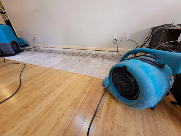 Reliable Basement Flood Cleanup contractor in Madison, IL by Hirex Water Damage
