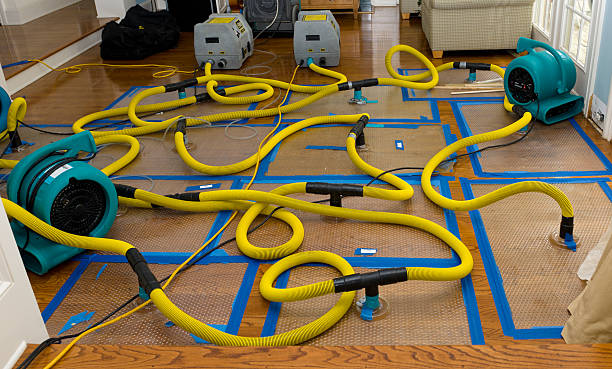Professional Basement Flood Cleanup technician working in Madison, IL